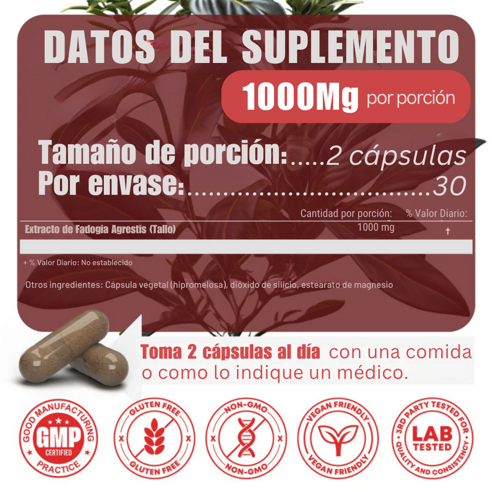 Fadogia Agrestis 1000 mg
