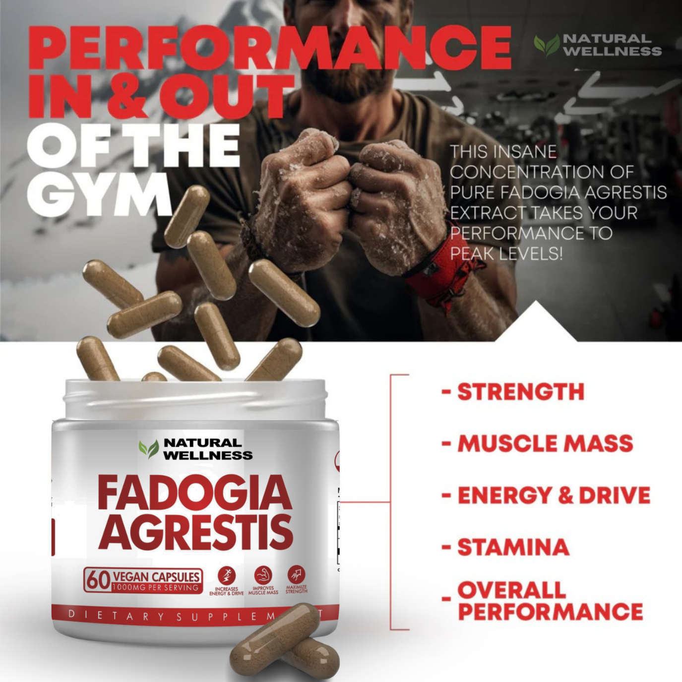 Fadogia Agrestis 1000mg