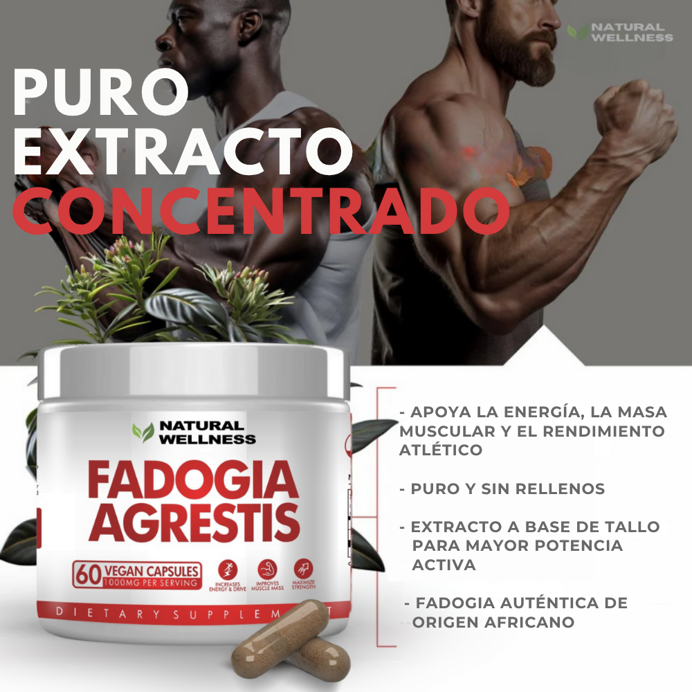 Fadogia Agrestis 1000 mg