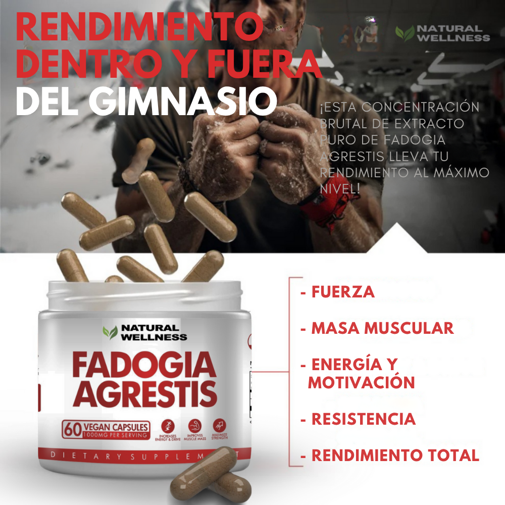 Fadogia Agrestis 1000 mg