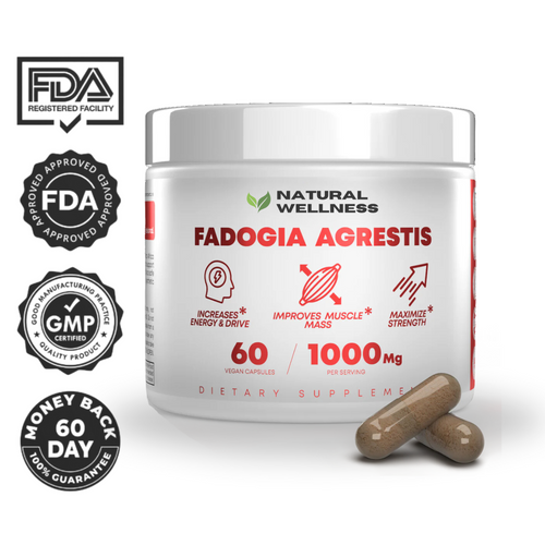 Fadogia Agrestis 1000mg